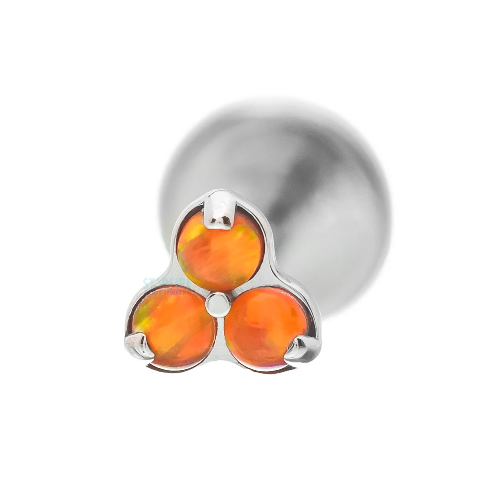Thumbnail 13