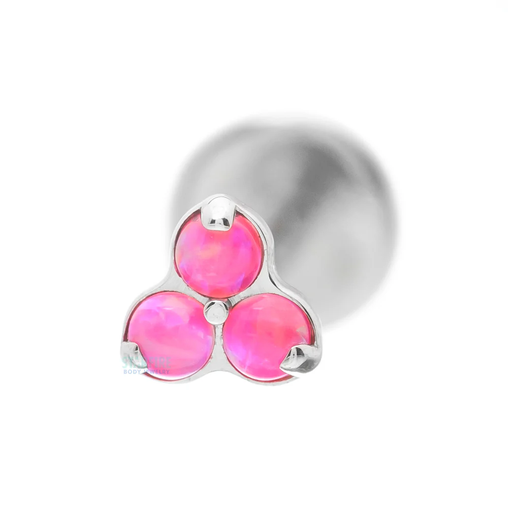 Thumbnail 14