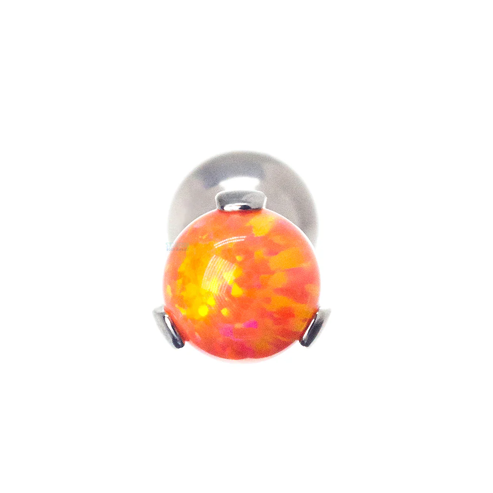 Thumbnail 33